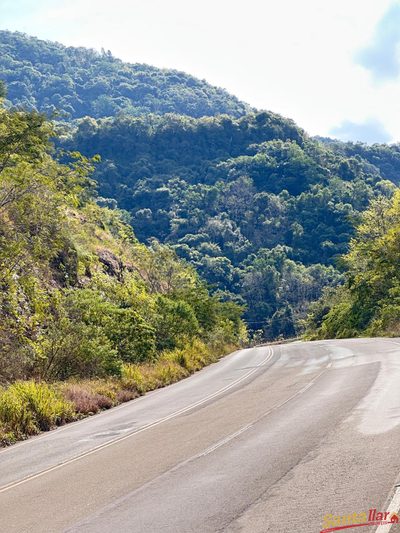 Sítio, 85 hectares - Foto 3