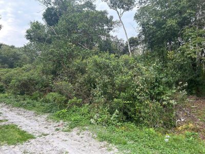 Terreno, 2400 m² - Foto 4