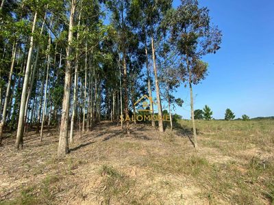 Terreno, 6 hectares - Foto 2