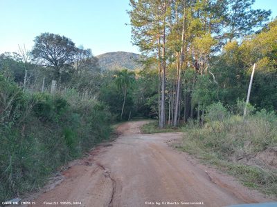 Fazenda, 59 hectares - Foto 3
