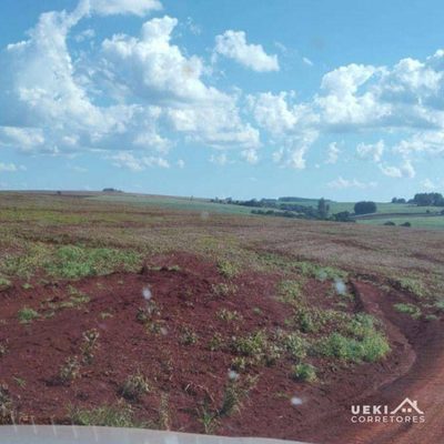 Fazenda, 104 hectares - Foto 4