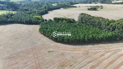 Fazenda, 33 m² - Foto 5