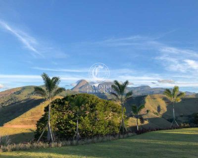 Terreno, 2 hectares - Foto 4