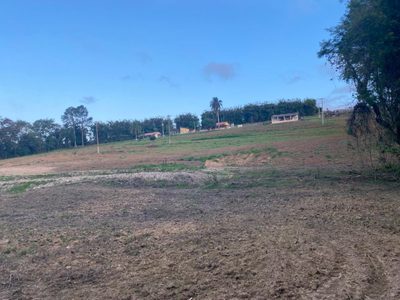 Sítio, 1 quarto, 10000 m² - Foto 5