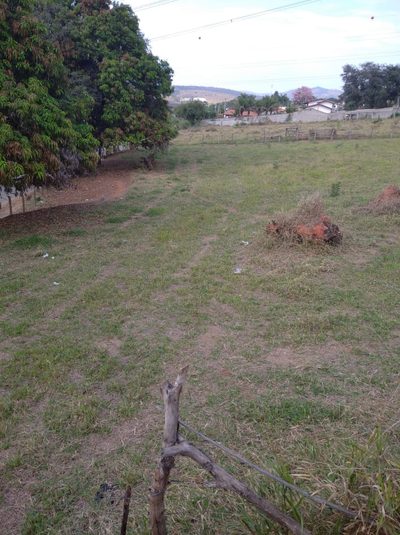 Terreno, 5000 m² - Foto 2