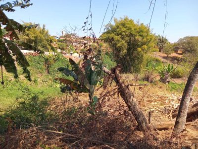 Terreno - Foto 5