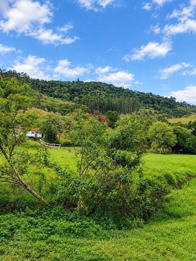 Chácara, 4 quartos, 2 hectares - Foto 2