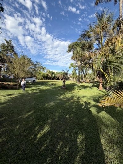 Terreno, 3 hectares - Foto 2