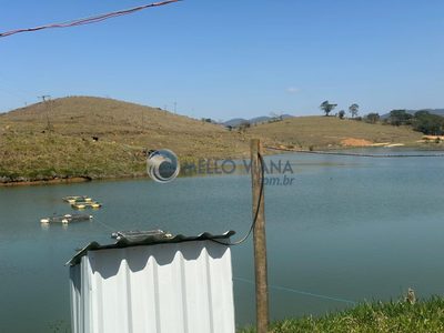 Fazenda, 4 quartos - Foto 3