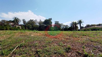 Loteamento e Condomínio, 5000 m² - Foto 3
