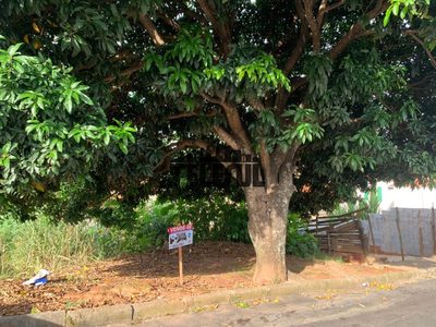 Terreno, 250 m² - Foto 4