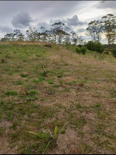 Terreno, 3 hectares - Foto 2