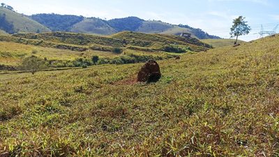 Terreno, 200 m² - Foto 1