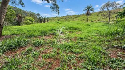 Terreno, 88000 m² - Foto 1