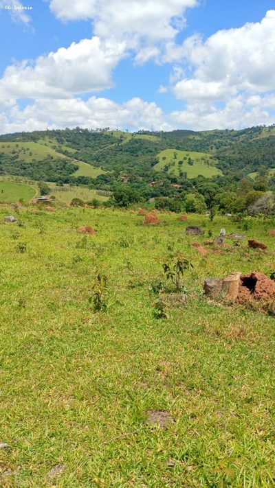 Terreno, 2 hectares - Foto 5