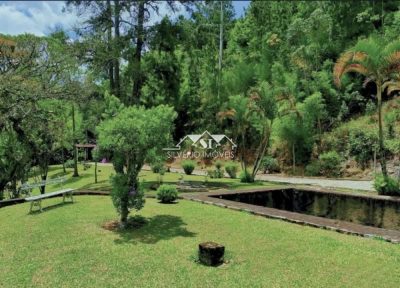 Sítio, 3 quartos, 3 hectares - Foto 3