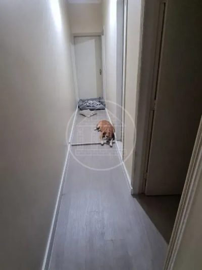Sobrado, 4 quartos, 110 m² - Foto 1