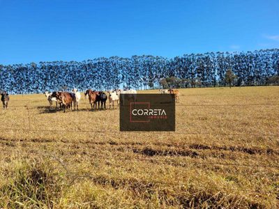 Chácara, 2 hectares - Foto 4