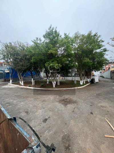 Depósito-Galpão, 4060 m² - Foto 5