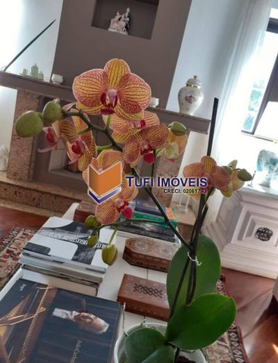 Apartamento, 4 quartos, 217 m² - Foto 5