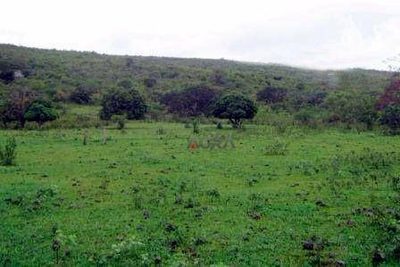 Fazenda, 609 hectares - Foto 4