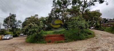 Terreno, 1420 m² - Foto 3
