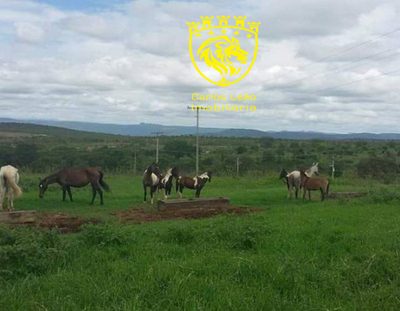 Fazenda, 127 hectares - Foto 2