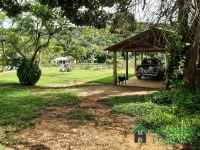 Terreno, 10000 m² - Foto 5