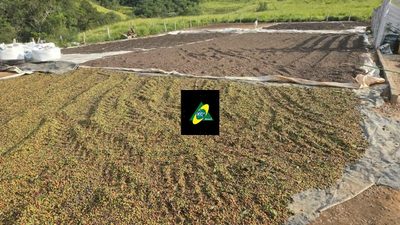 Fazenda, 256 hectares - Foto 1