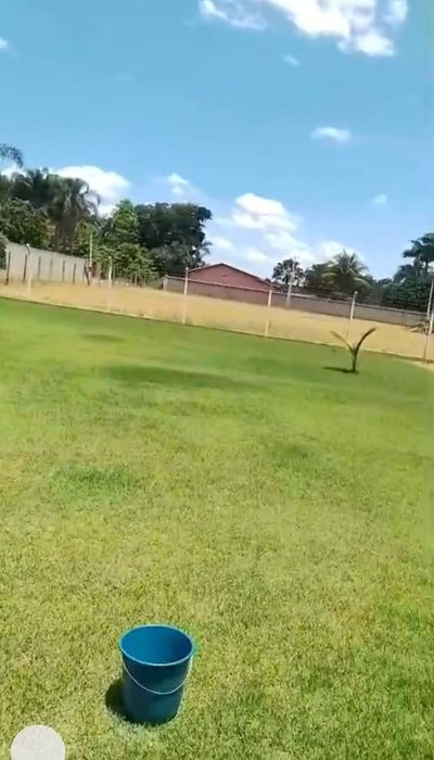 Chácara, 2 quartos, 1000 m² - Foto 4