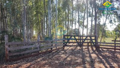 Chácara, 3 quartos - Foto 2