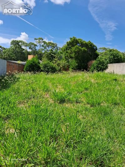Casa, 450 m² - Foto 4
