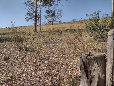 Sítio, 2 quartos, 9680 m² - Foto 2