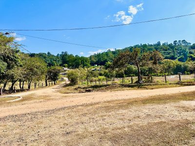 Terreno, 2 hectares - Foto 3