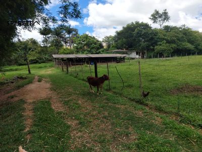 Chácara, 3 quartos - Foto 3