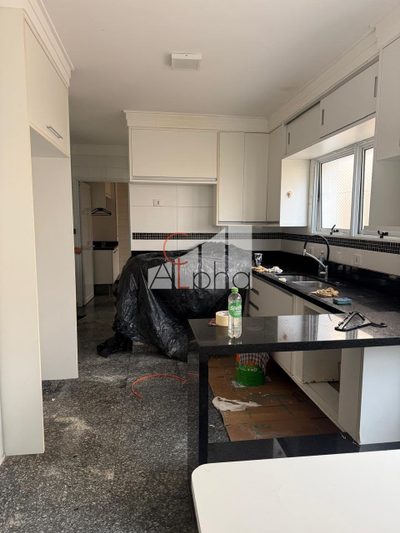 Casa, 4 quartos, 487 m² - Foto 4