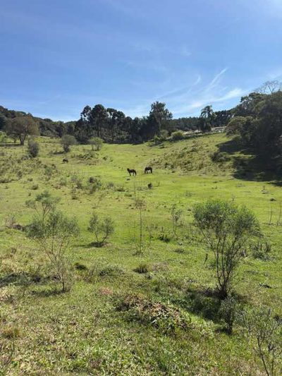 Chácara, 1 quarto - Foto 1