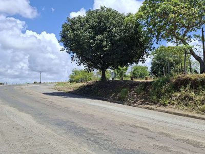 Terreno - Foto 5