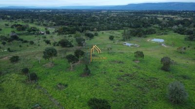 Fazenda, 113 hectares - Foto 3