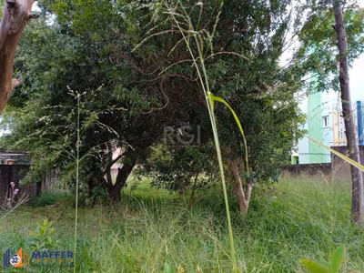 Terreno, 368 m² - Foto 1