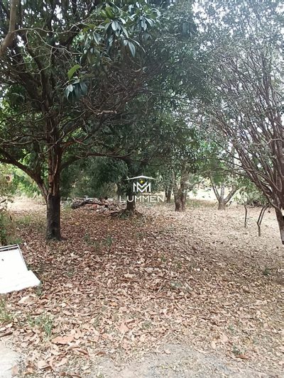 Chácara, 1 quarto - Foto 2