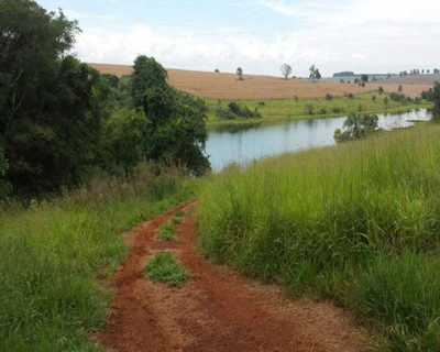 Fazenda, 200 m² - Foto 3