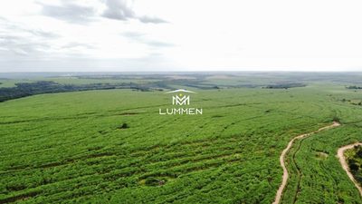 Fazenda - Foto 5