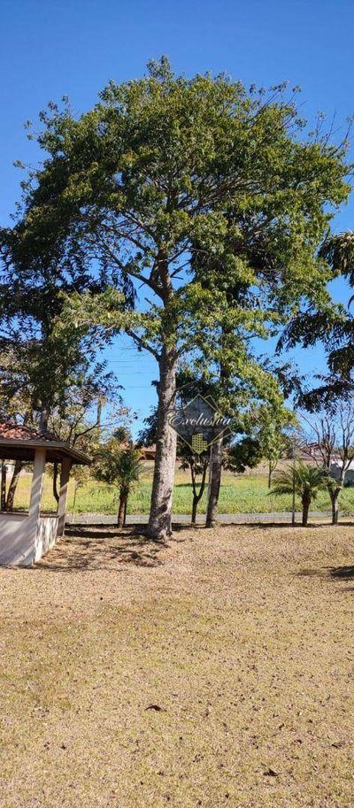 Terreno, 2318 m² - Foto 2