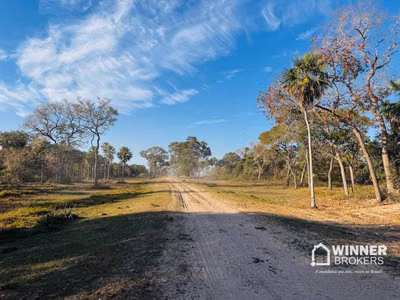 Fazenda, 95000 hectares - Foto 2