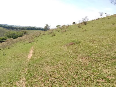 Terreno, 2300 m² - Foto 5