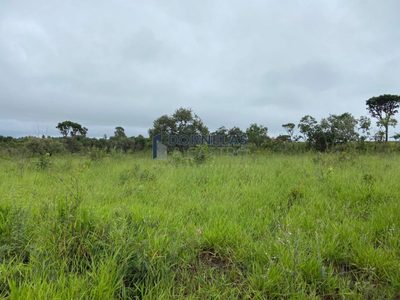Sítio, 2 quartos, 20300 m² - Foto 3