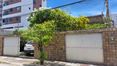 Casa, 7 quartos, 360 m² - Foto 2