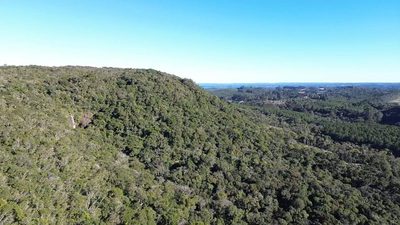 Terreno, 15 hectares - Foto 3
