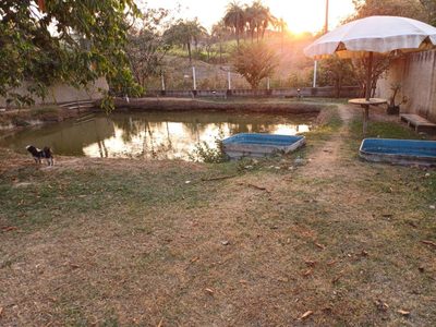 Fazenda, 1000 m² - Foto 4